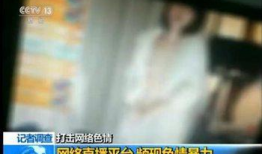 性爱直播破解,隐私边界与网络安全的较量