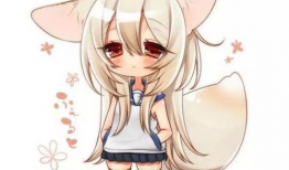 动漫狐狸,探寻神秘动漫狐狸的奇幻之旅