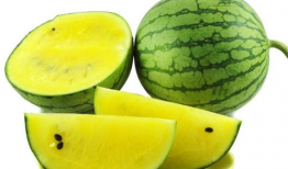 吃瓜爆料陈赫杨颖图片,吃瓜群众热议幕后真相